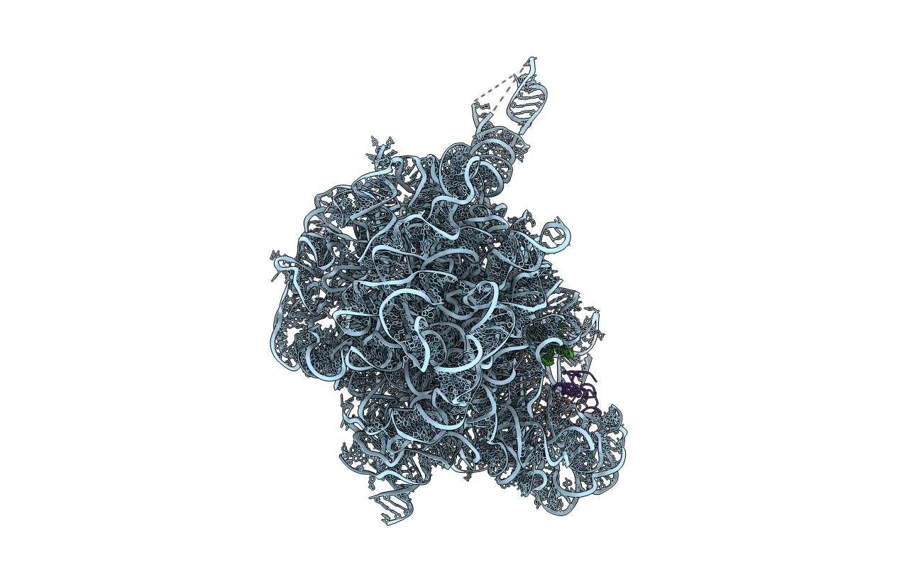 1NJP image