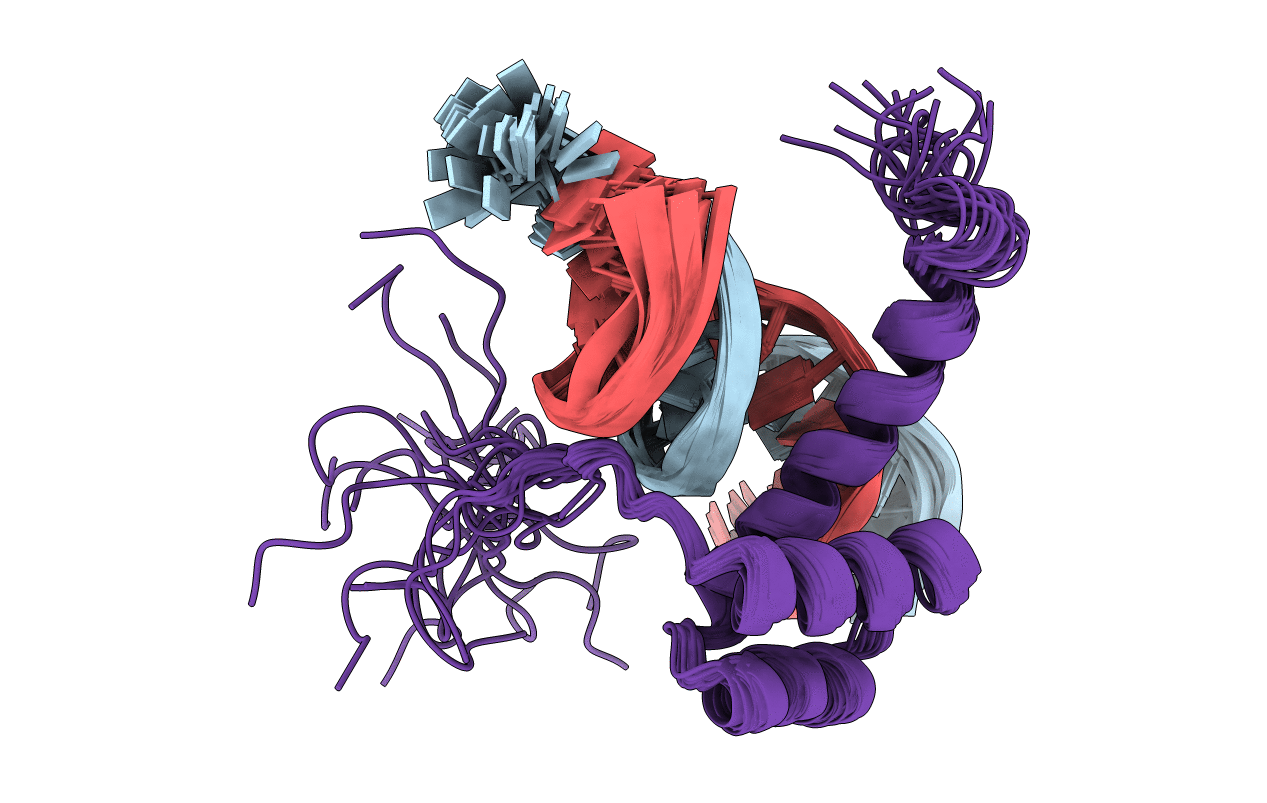 1NK2 image