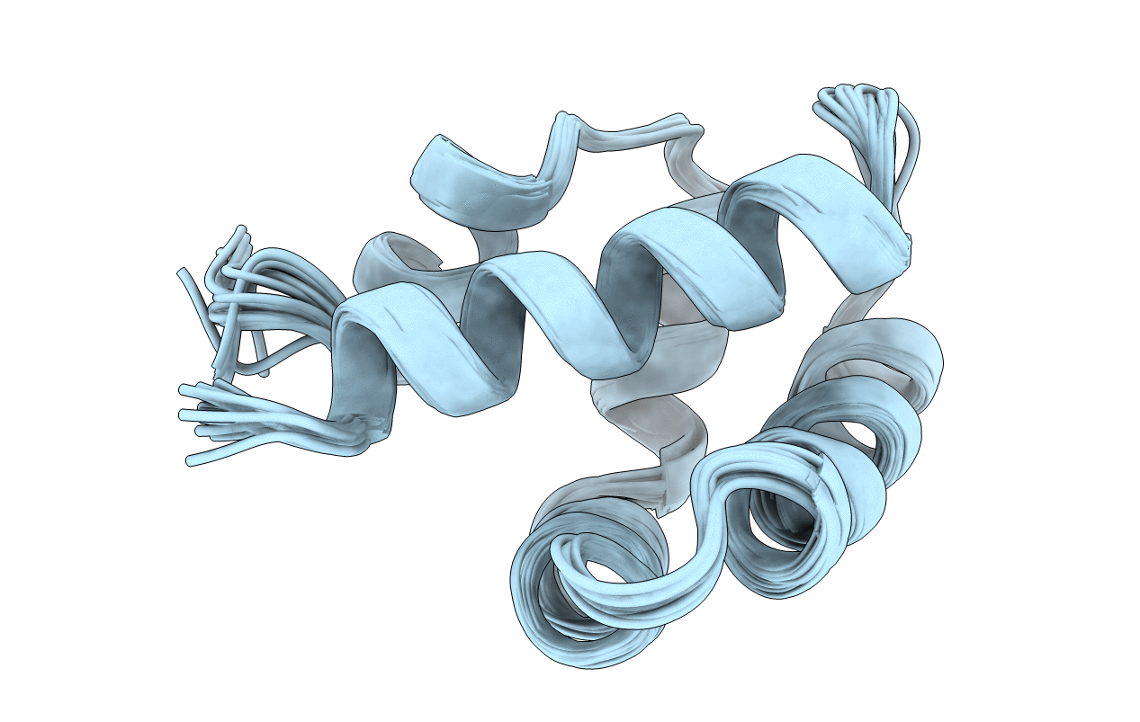 1NKL image