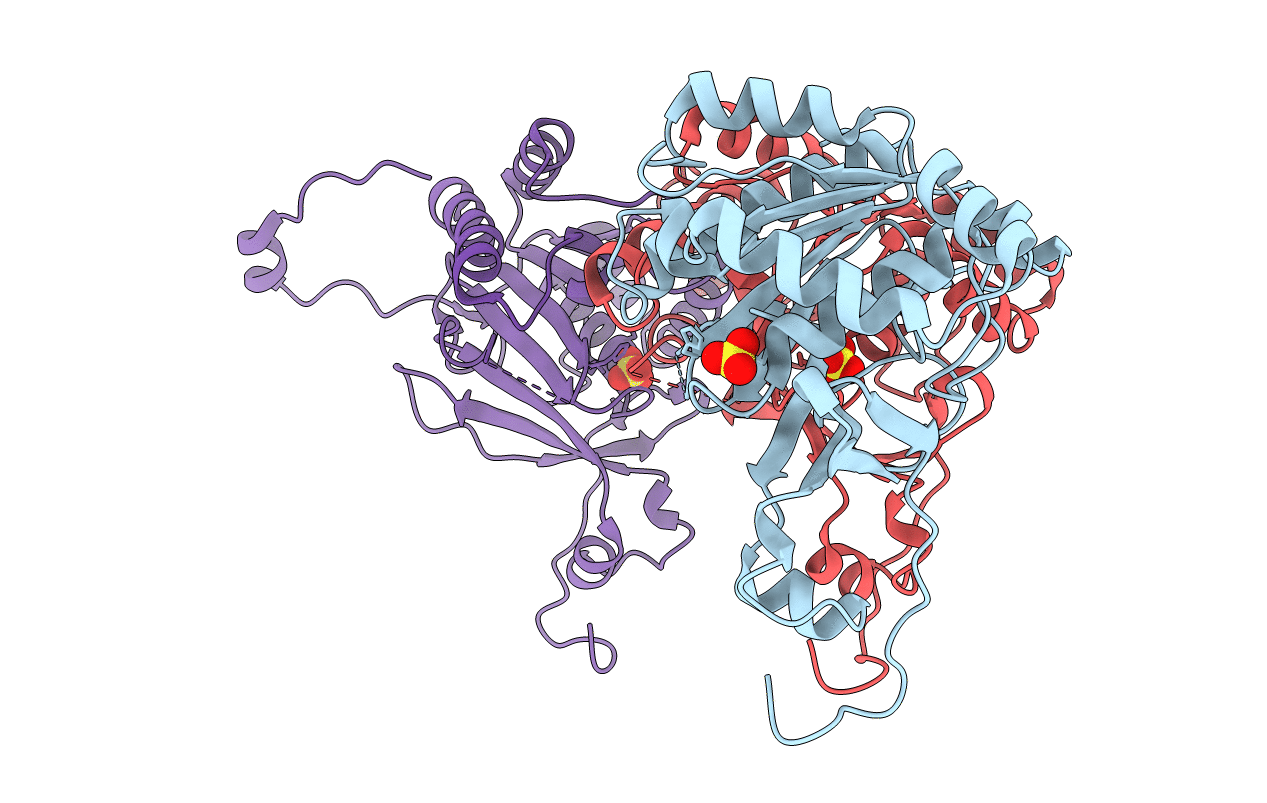 1NLF image