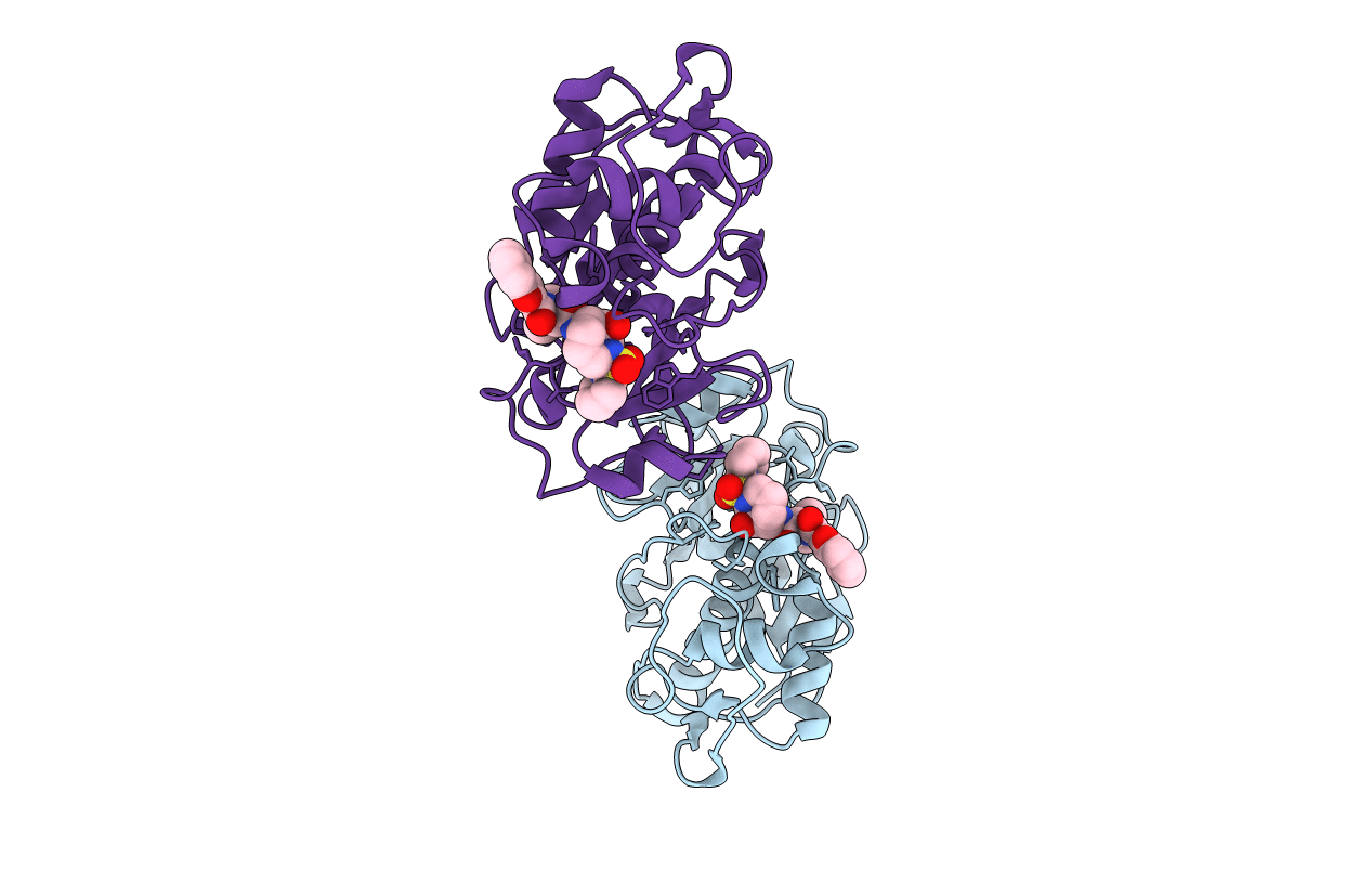1NLJ image