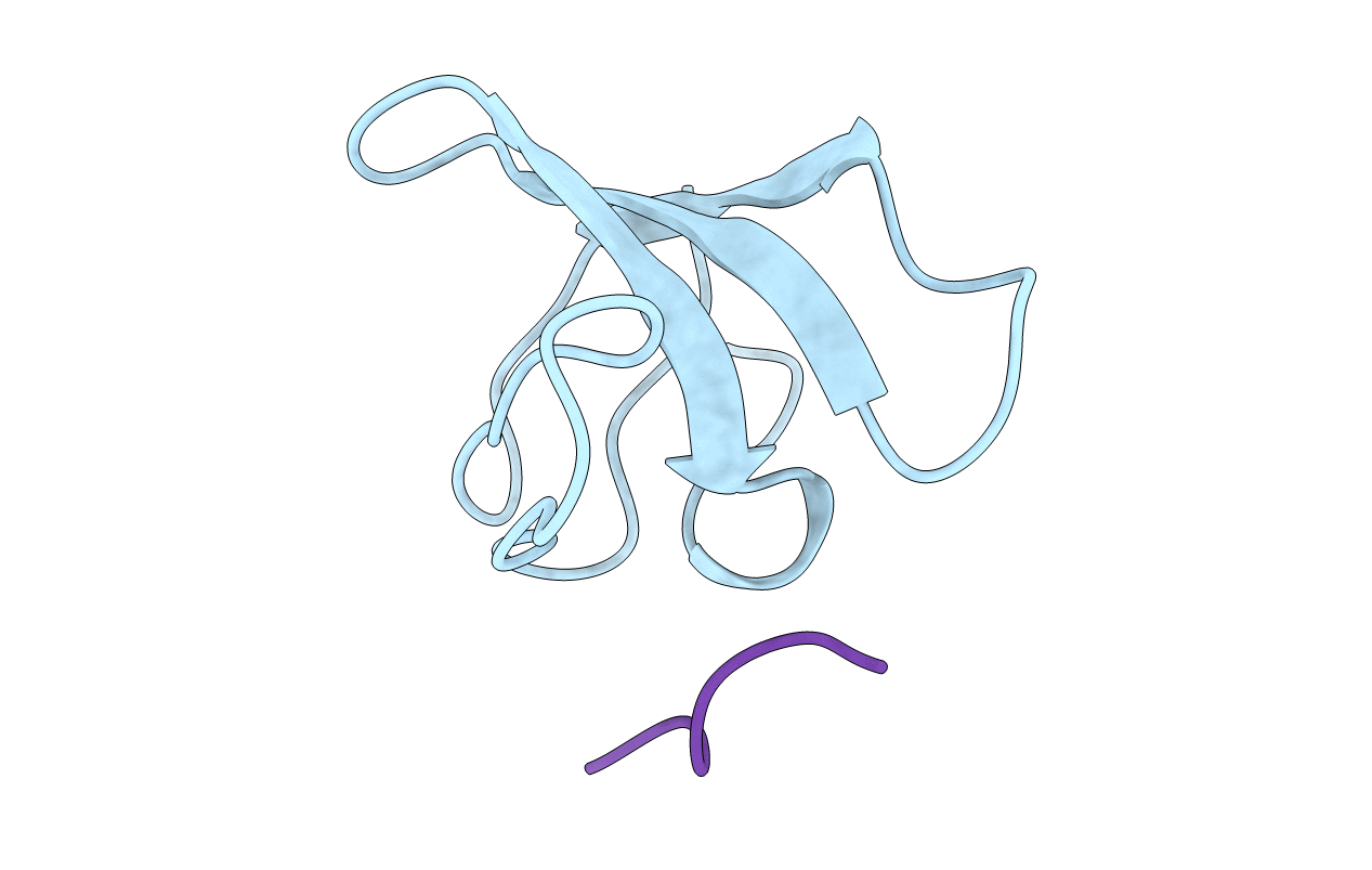 1NLP image