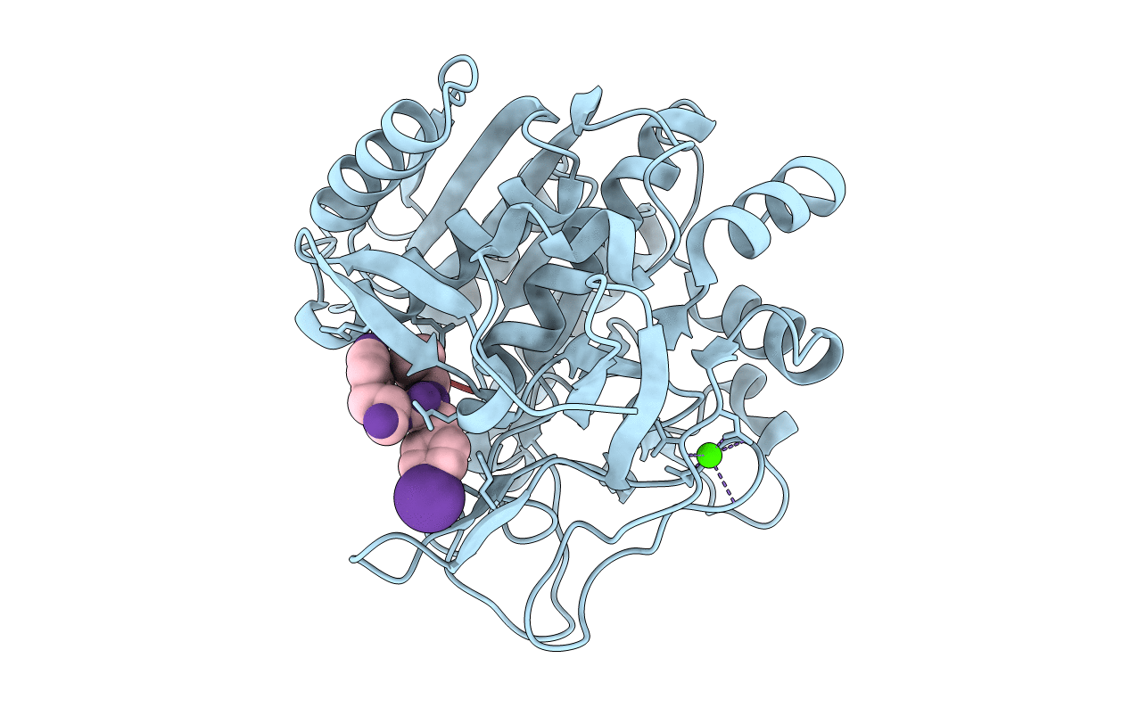 1NLU image
