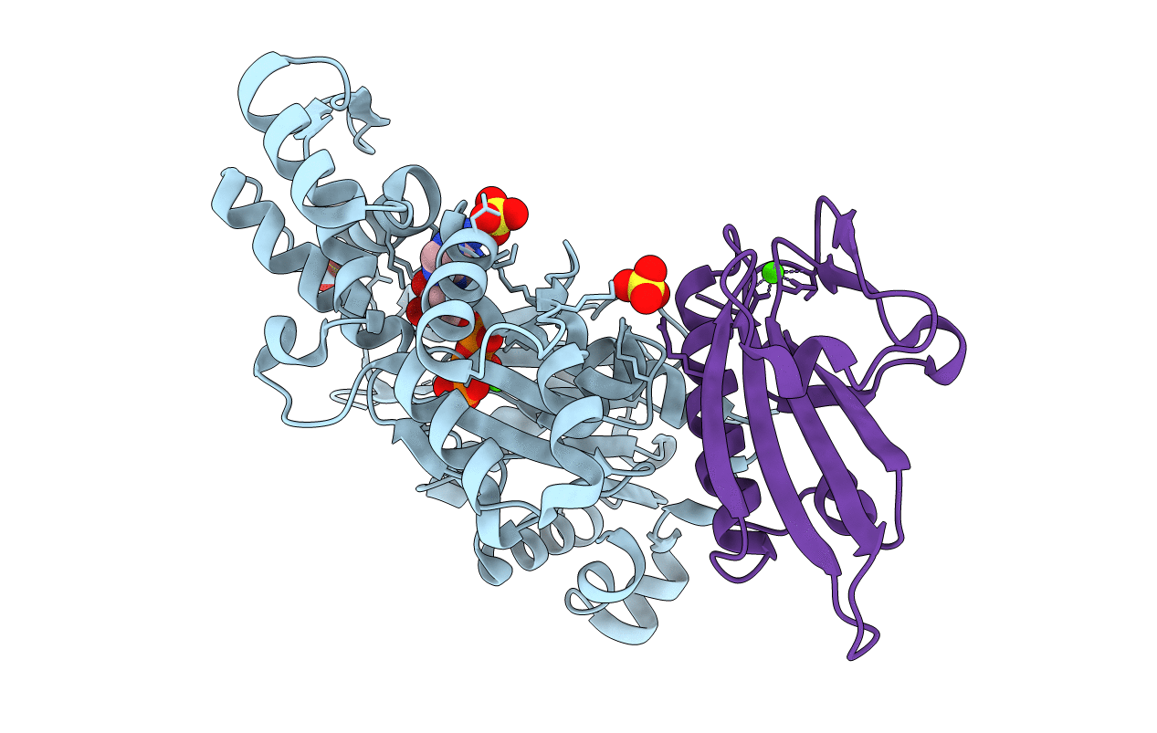 1NLV image