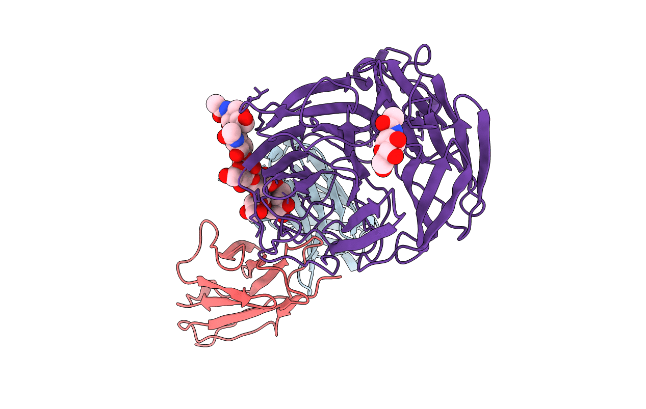 1NMA image
