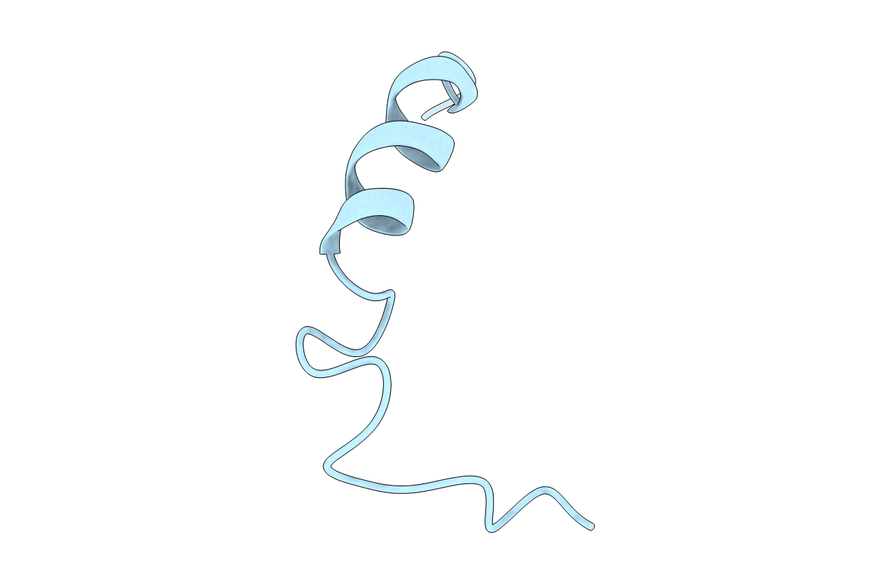 1NMJ image