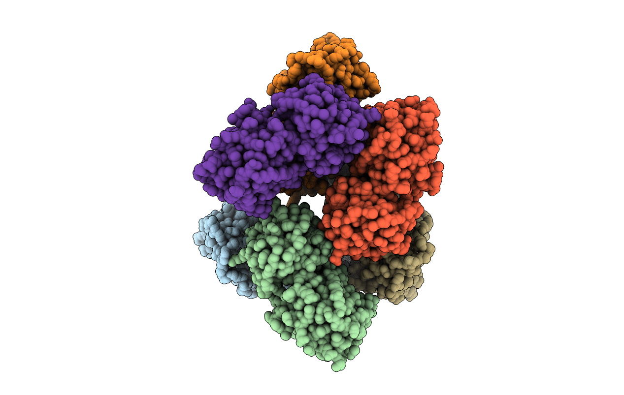 1NMO image