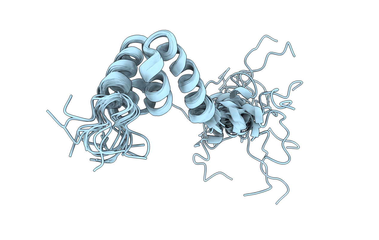 1NMR image