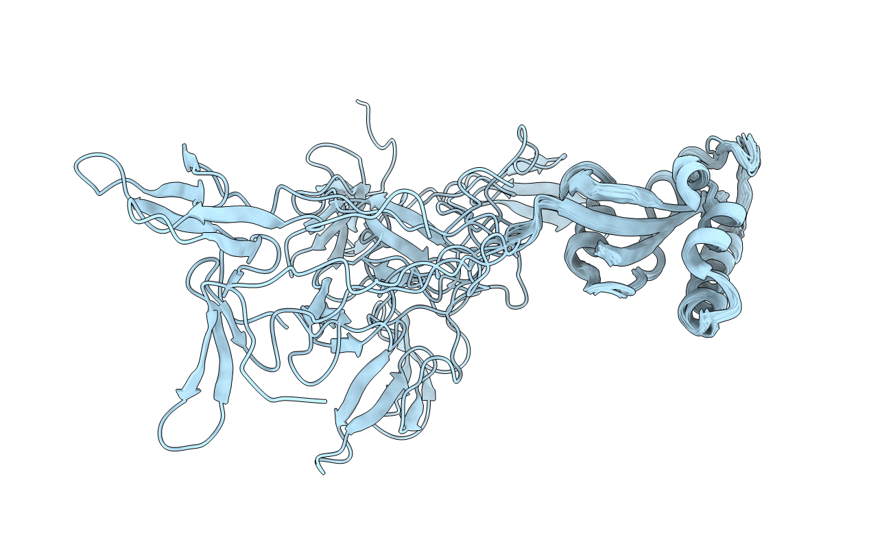 1NMV image