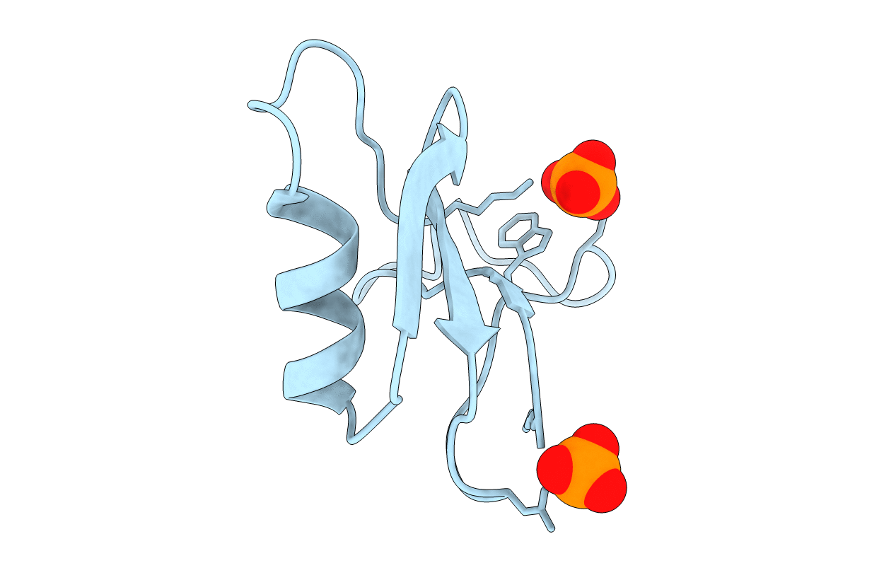 1NPI image