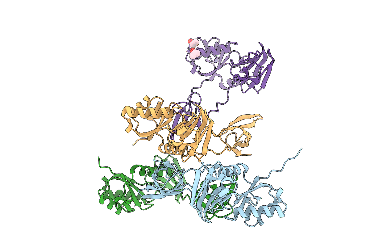 1NPP image
