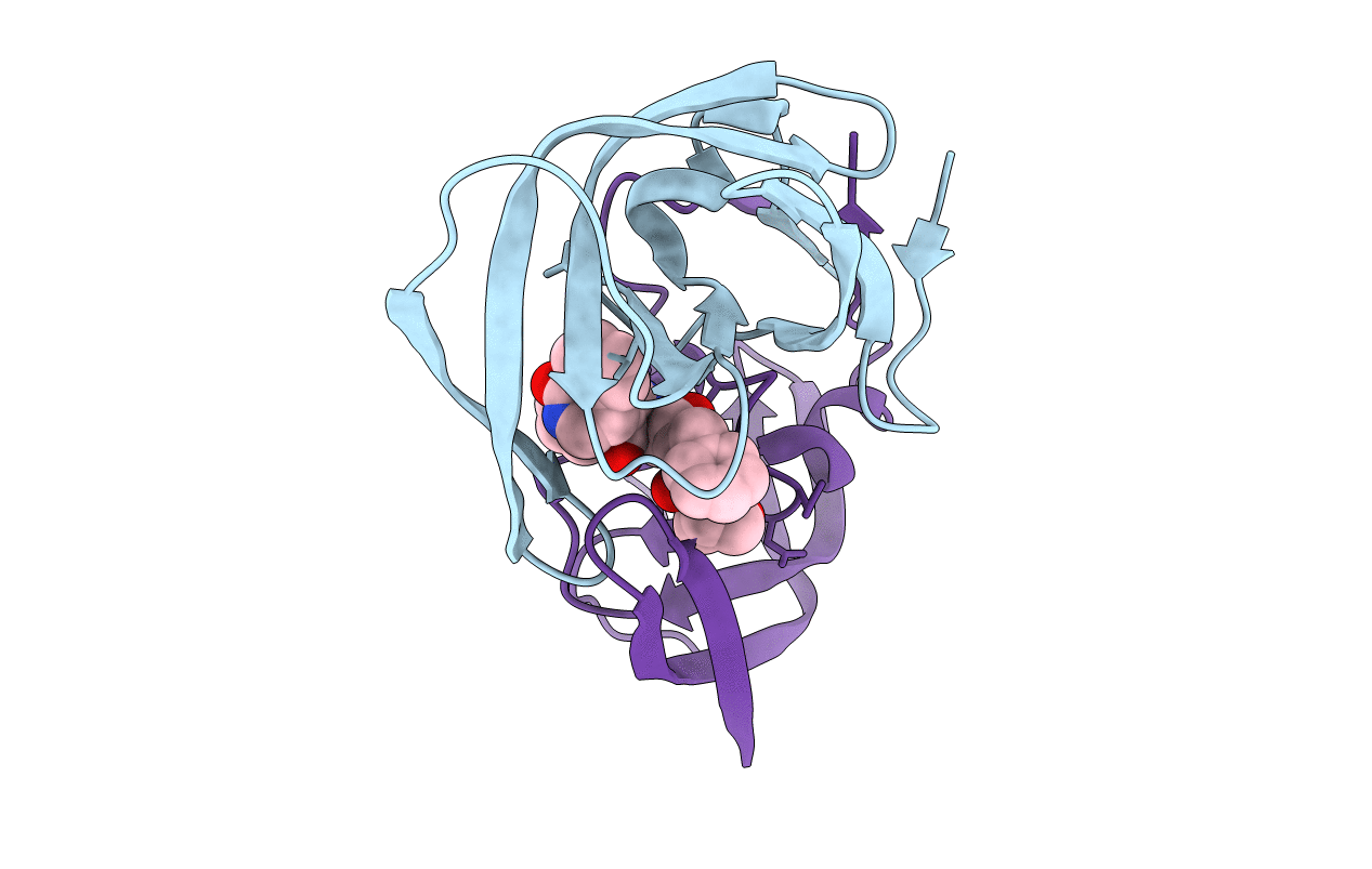 1NPV image