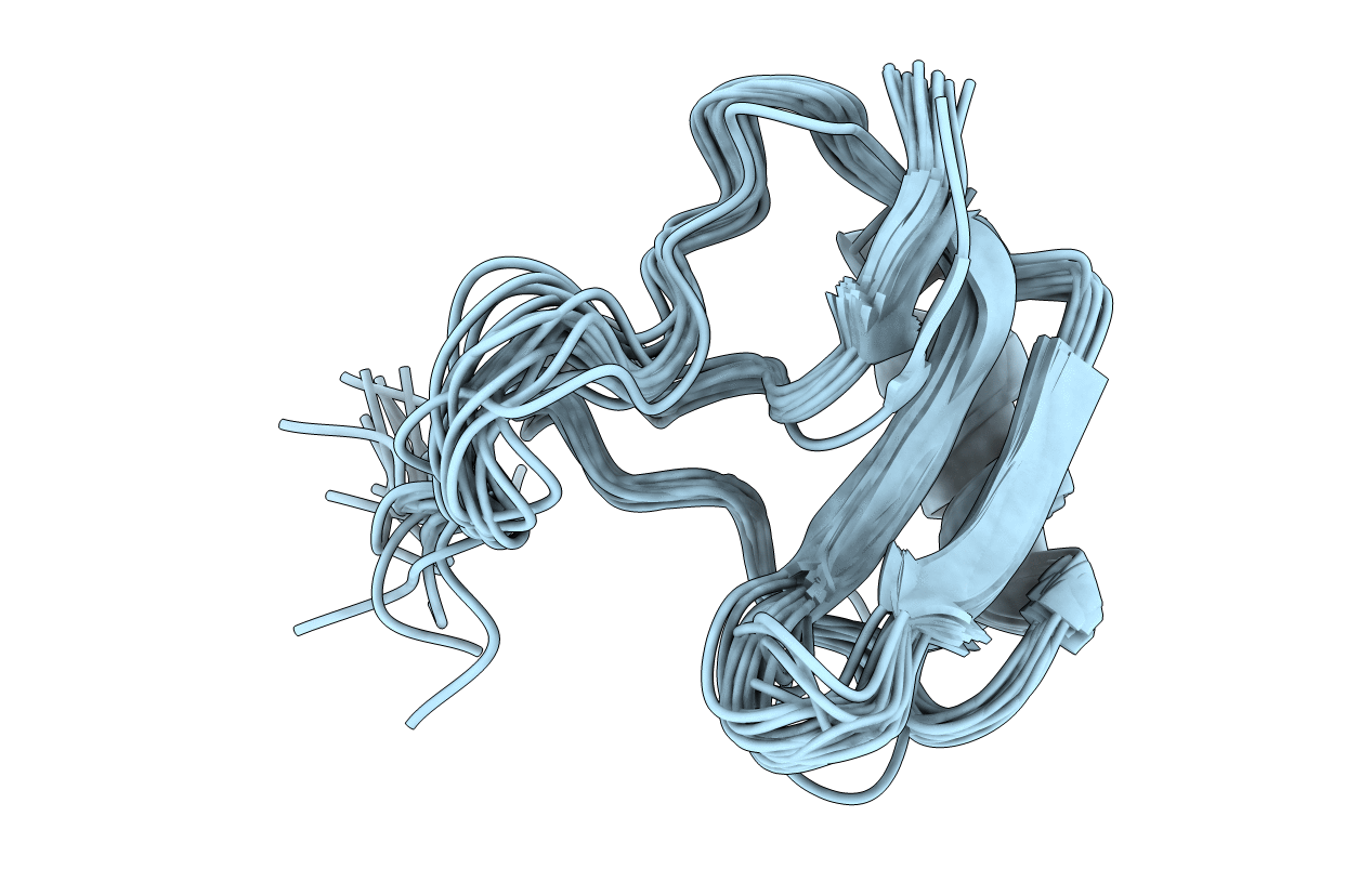 1NRB image