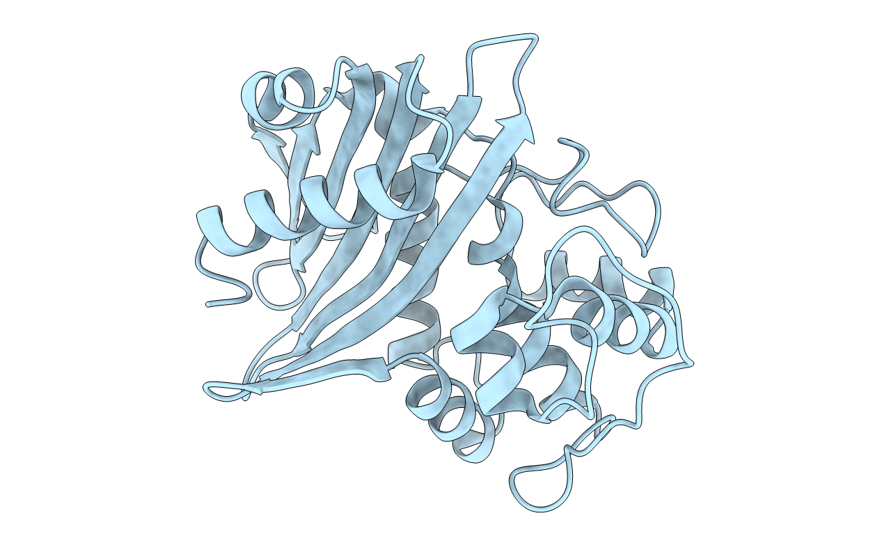 1NRF image