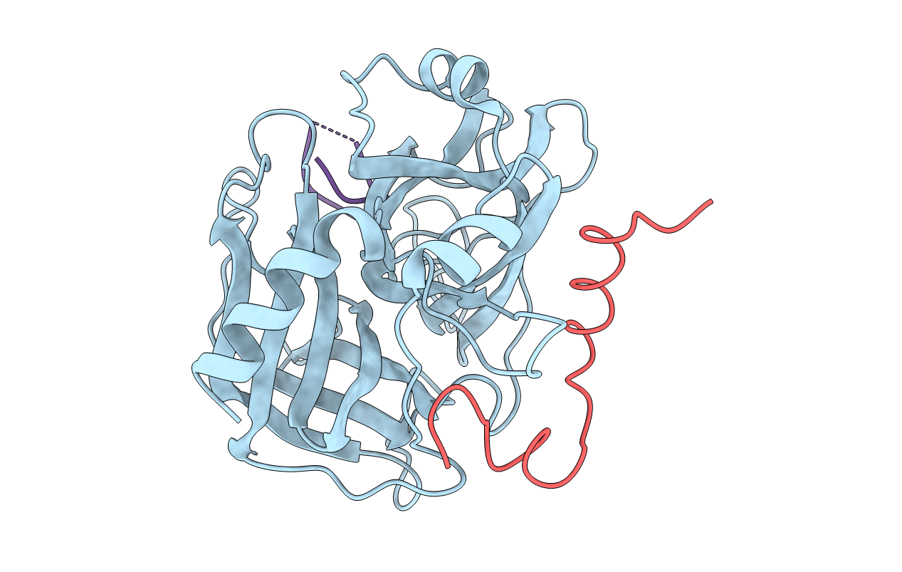 1NRP image