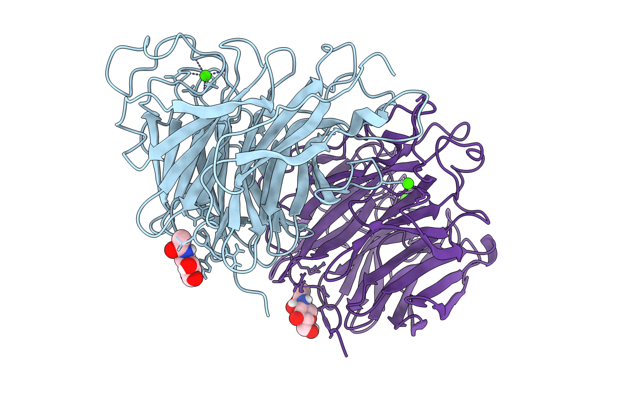 1NSB image