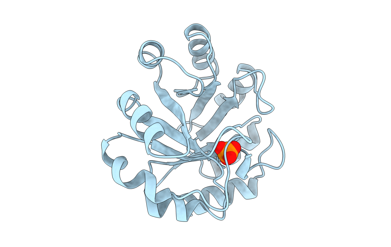 1NSJ image