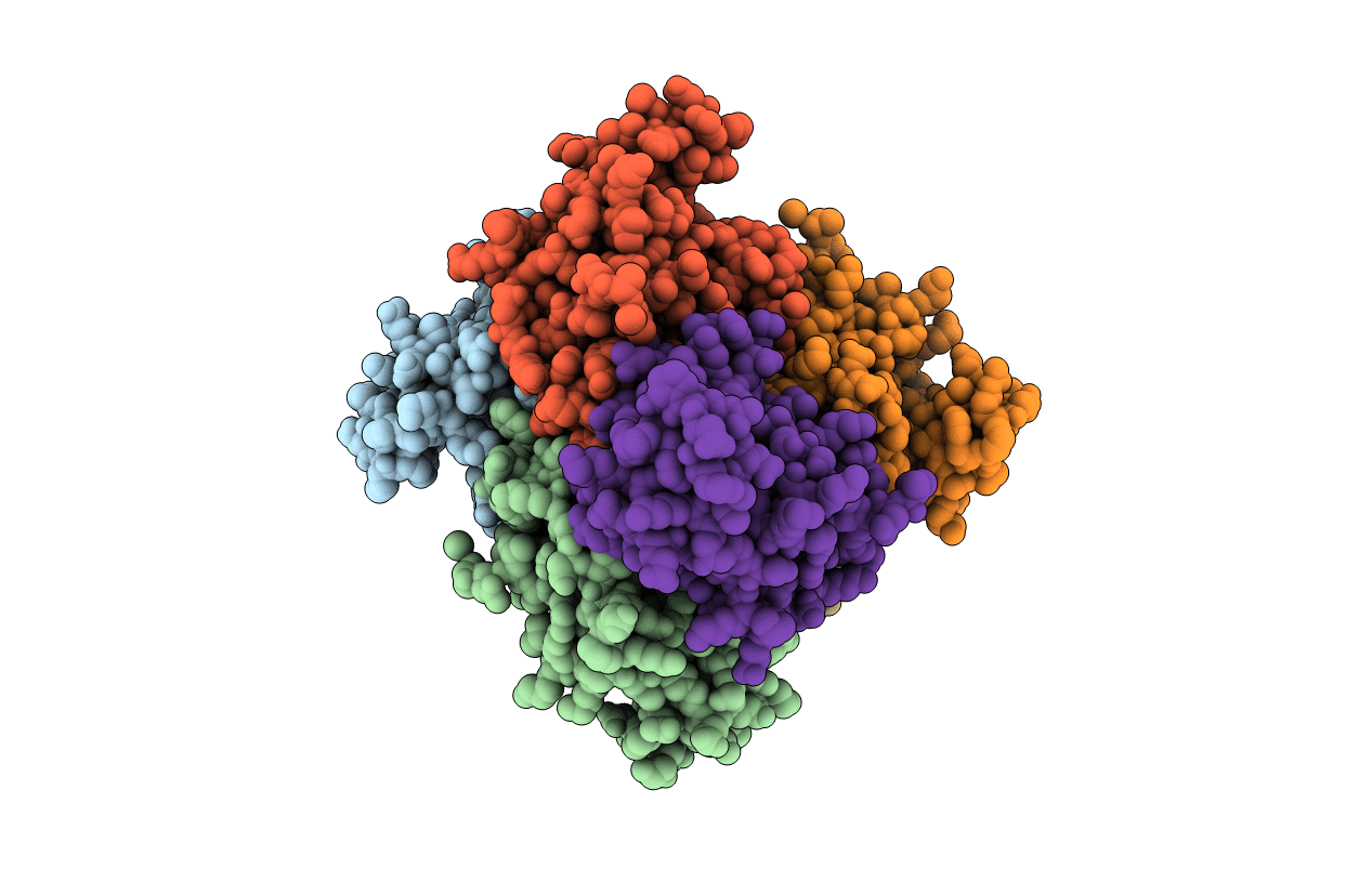 1NSK image