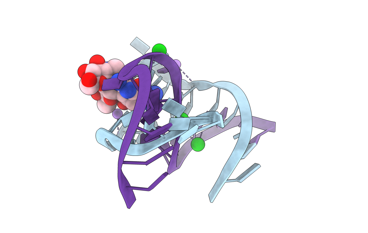 1NTA image