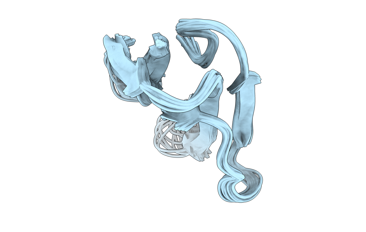1NTX image
