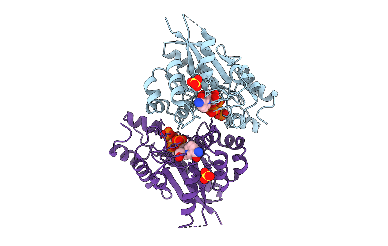 1NUS image