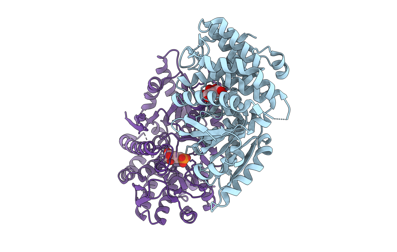 1NVD image