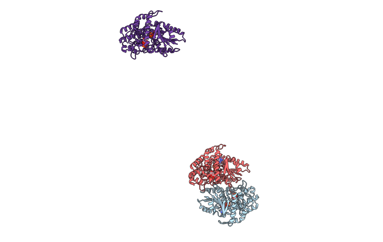 1NVF image