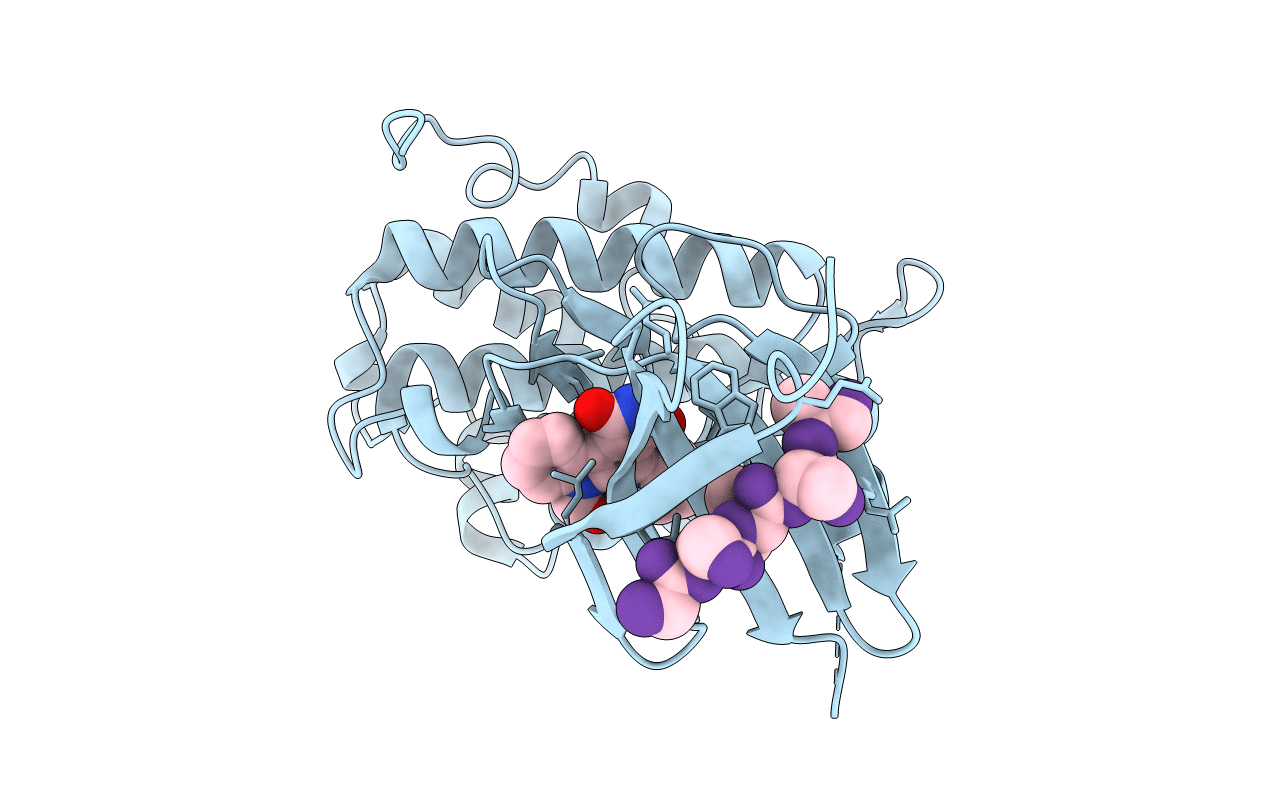 1NVS image
