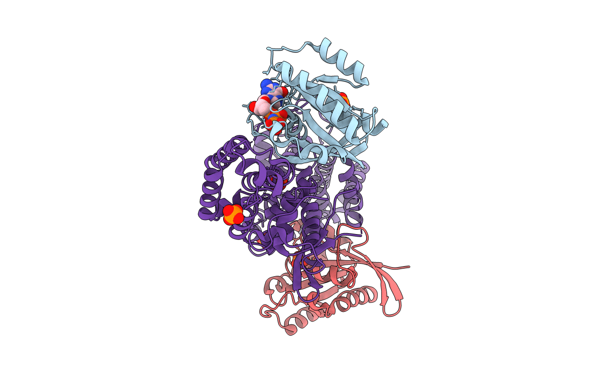 1NVV image