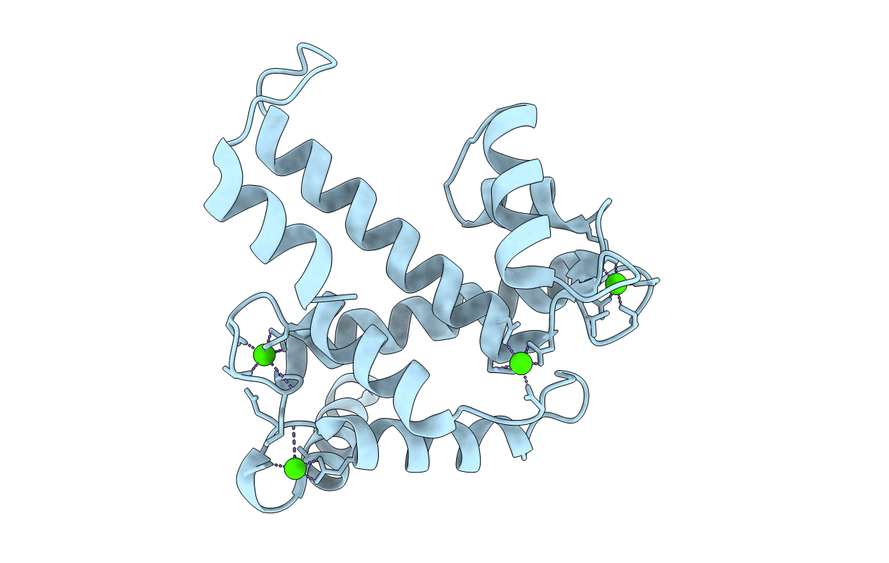 1NX2 image