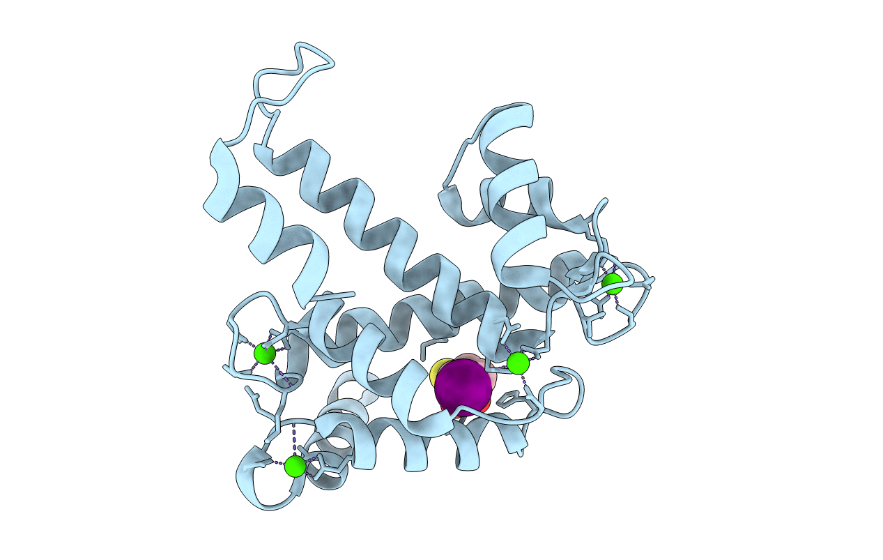 1NX3 image