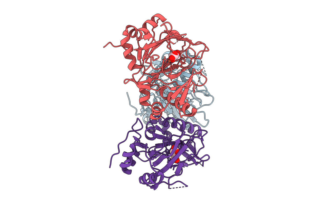 1NX4 image