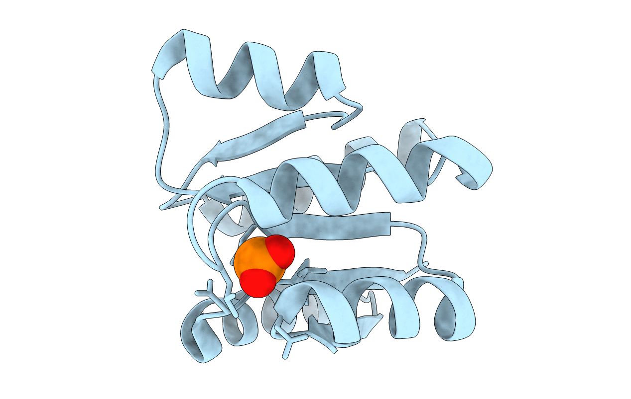 1NXP image