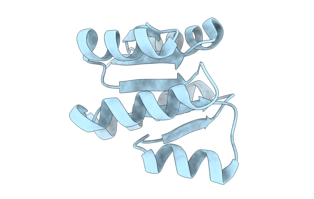 1NXS image