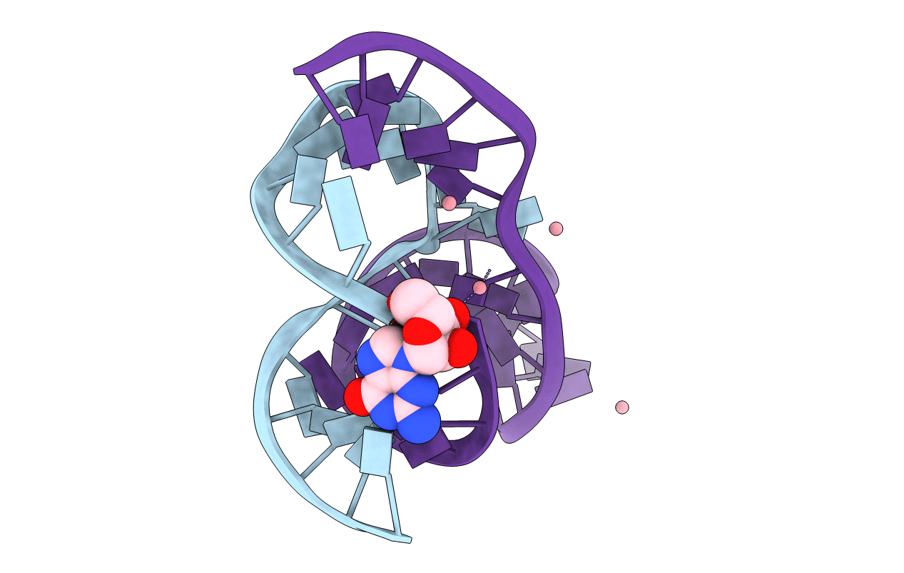 1NYI image