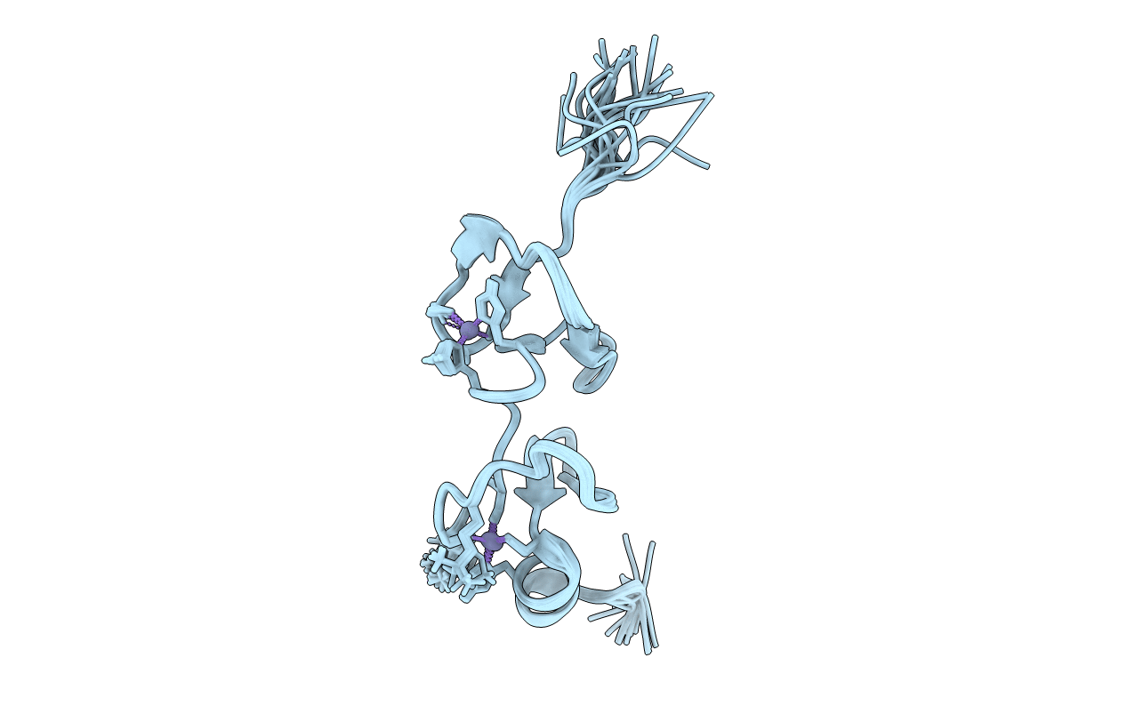1NYP image