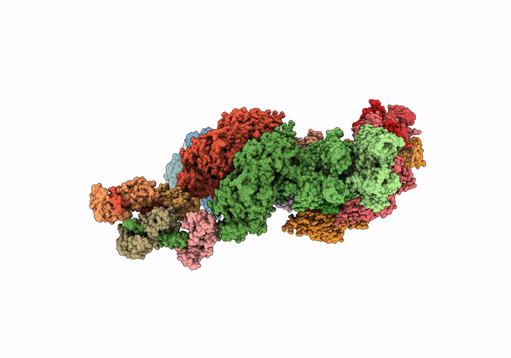 1O1B image