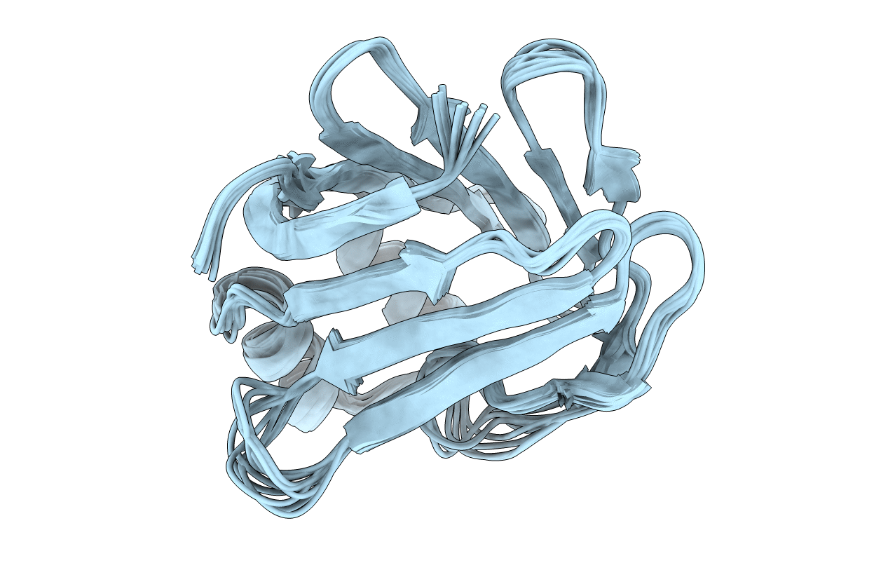 1O1U image