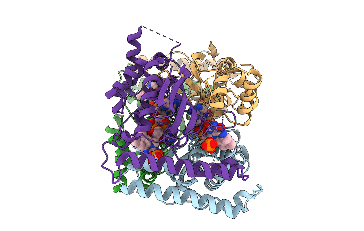 1O2B image