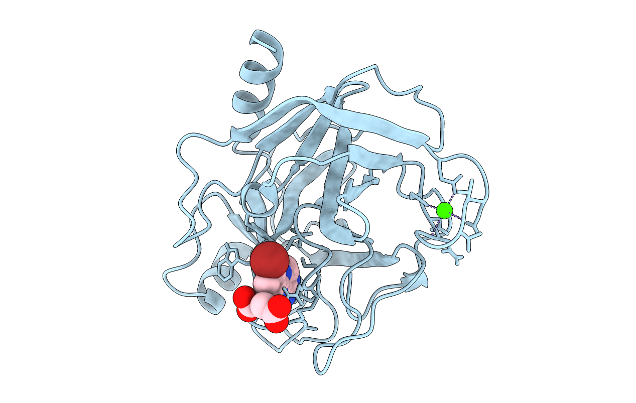 1O2U image