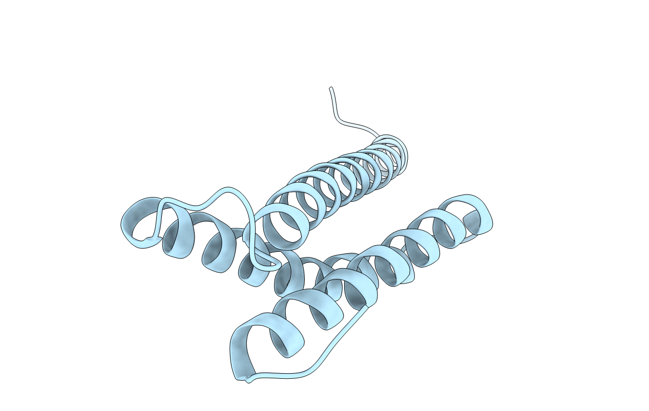 1O3X image