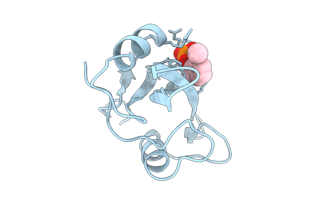 1O41 image
