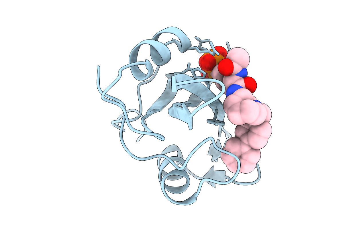1O4B image