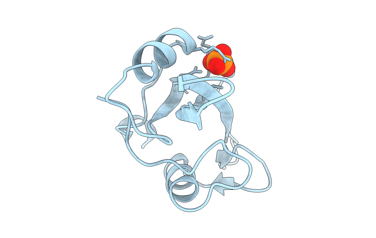 1O4C image