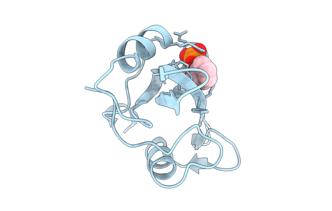1O4D image