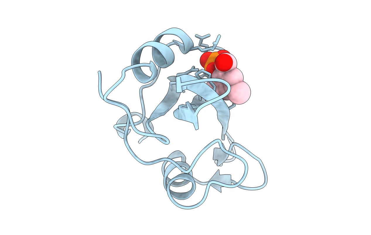 1O4E image