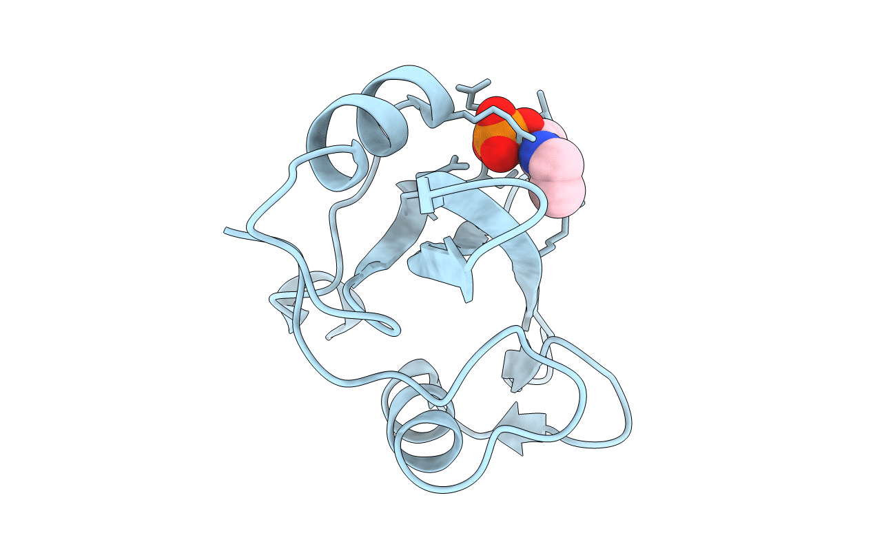 1O4F image