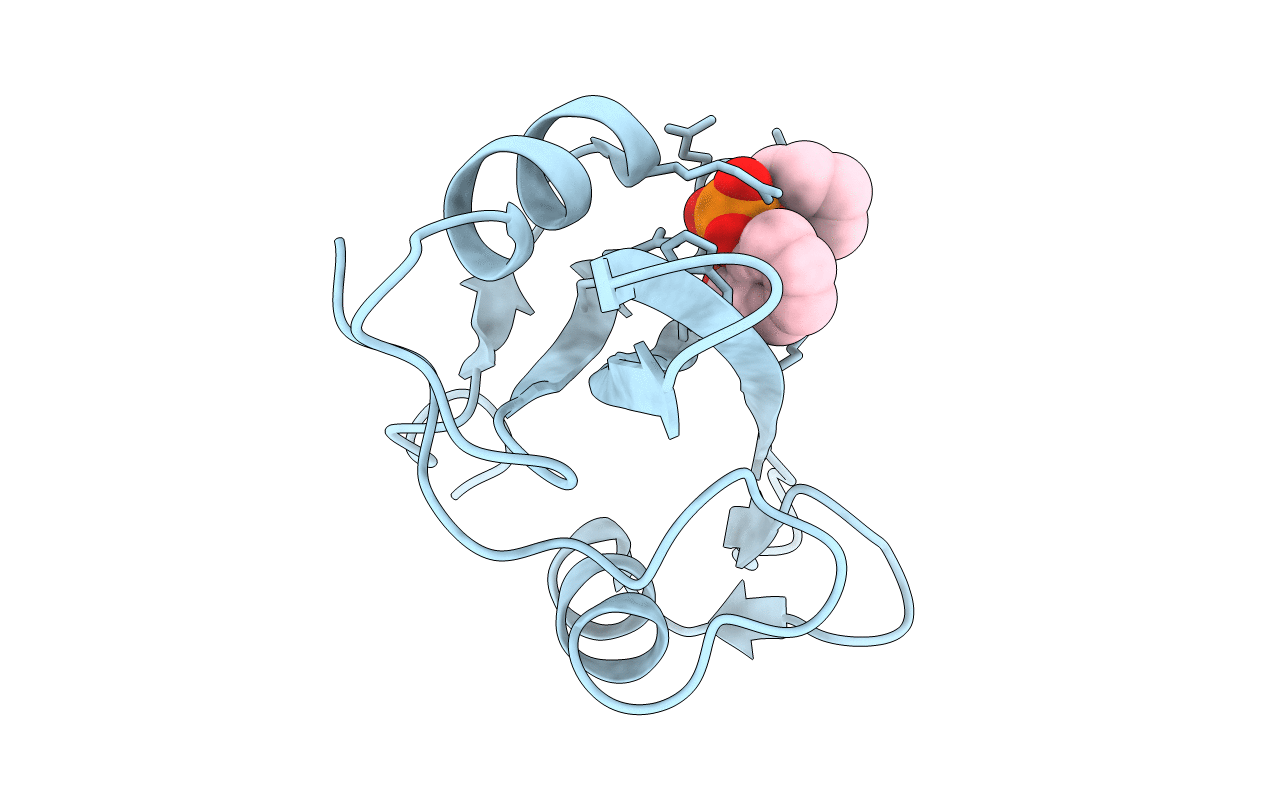 1O4I image