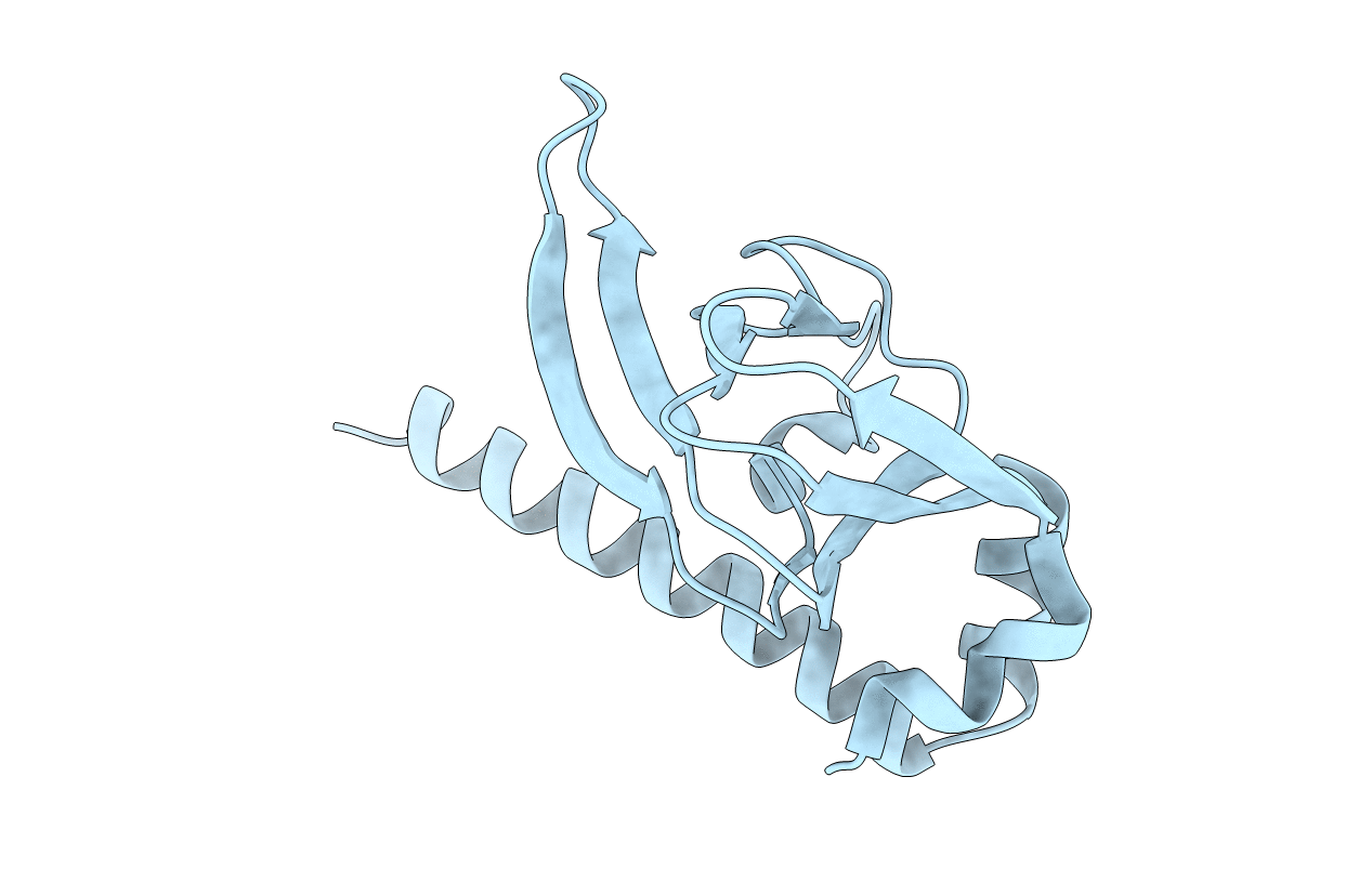1O5L image