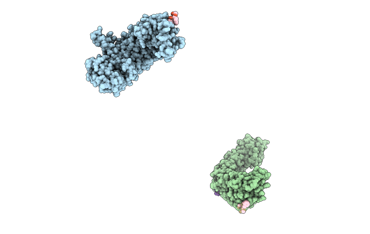 1O6P image